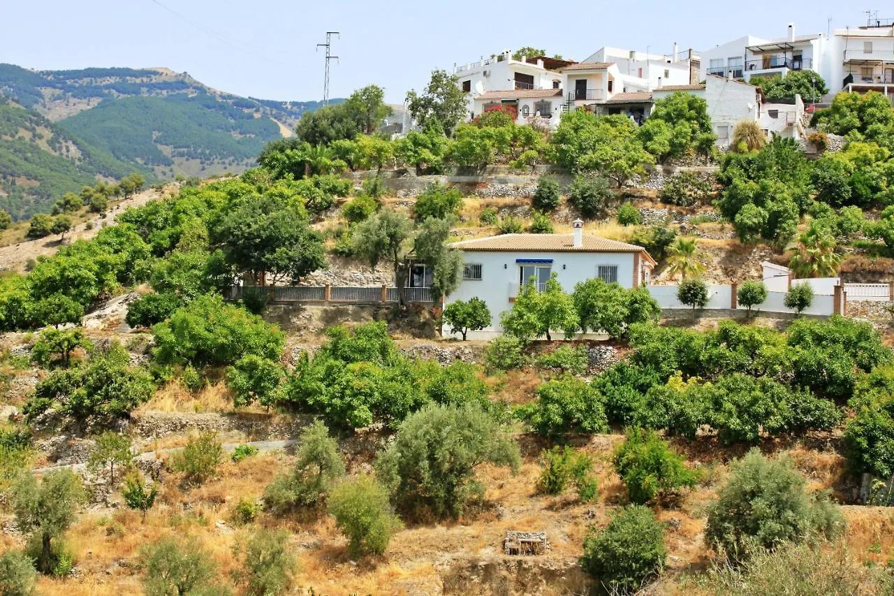 Villa Flamenca, Comoda Con Piscina Privada, Barbacoa By Andaraholidays Canillas de Albaida 0*,